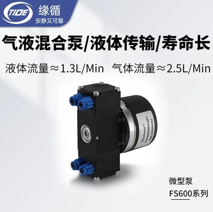 缘循水泵耐腐蚀FS600抽水迷你小型24v电动微型无刷隔膜液泵